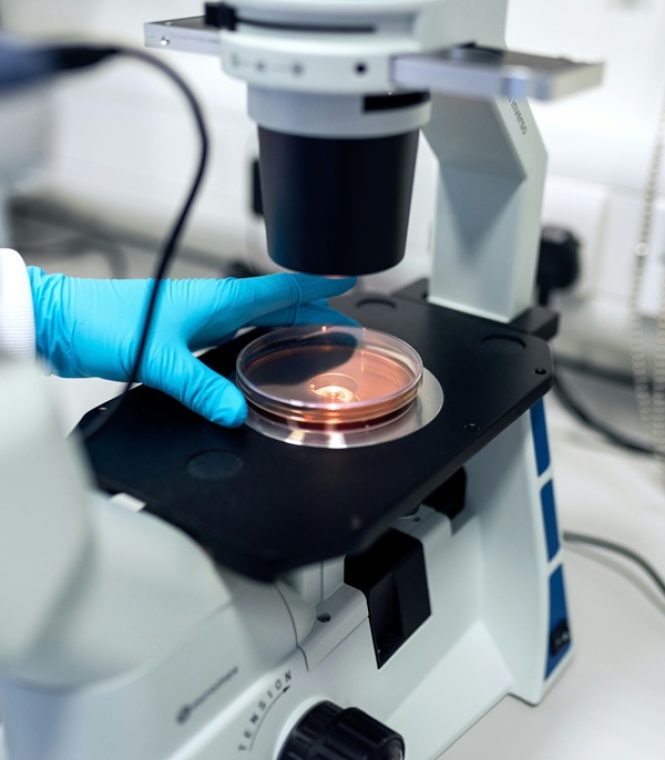 thisisengineering-bcqDxjddPGk-unsplash